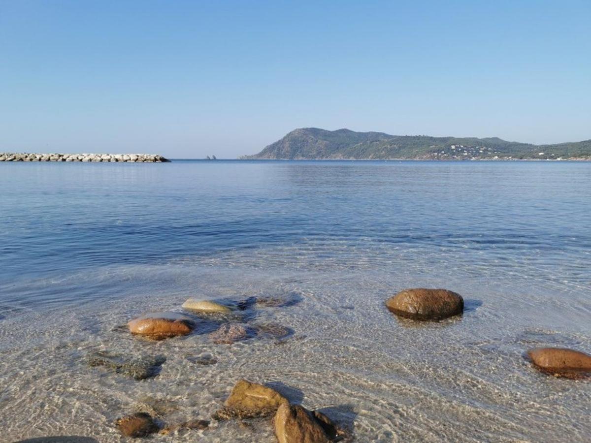Apartament Havre De Paix A 2 Pas De L'Eau, Autonomie Saint-Mandrier-sur-Mer Zewnętrze zdjęcie